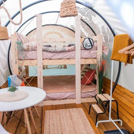 Dragonfly Gardens - The Wagons-2